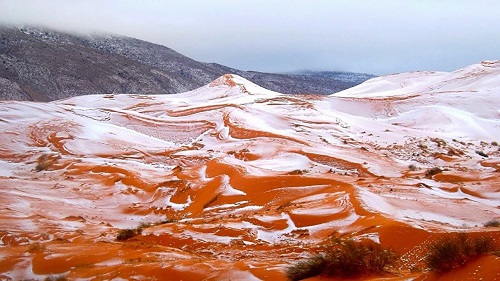 عربستان