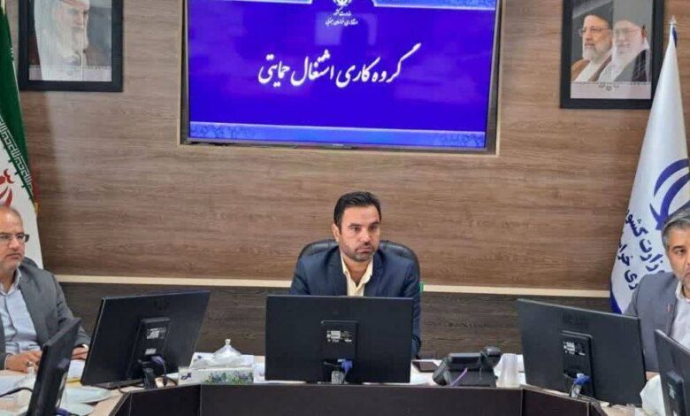 تسهیلات حمایتی در راستای اشتغال در خراسان جنوبی