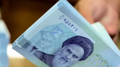 آسیب شناسی بنگاه داری بانک ها