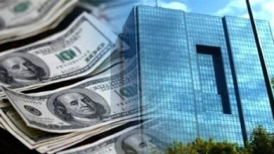 چرا بانک مرکزی در حفظ ارزش پول ملی ناتوان است؟!