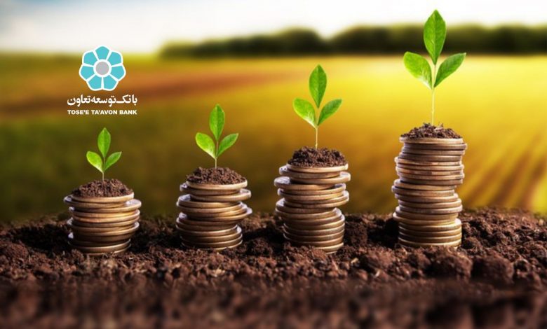 بانک توسعه تعاون