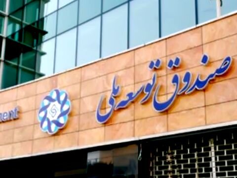 واریز مبالغی از صندوق توسعه ملی به بورس، مُسکنی موقت