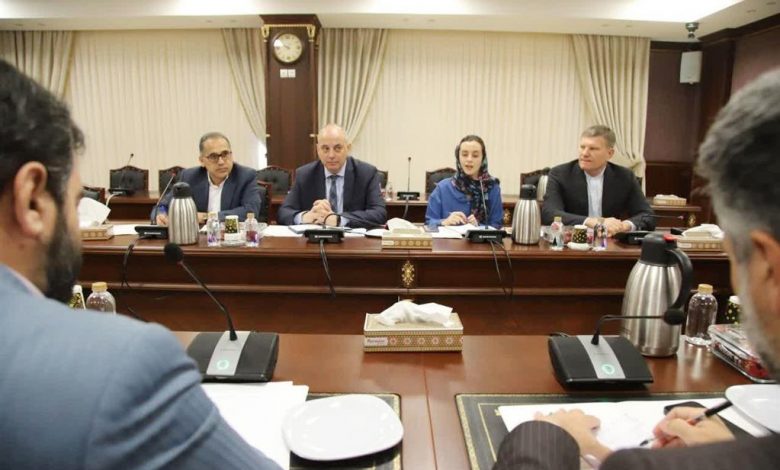 عبدالملکی: لزوم اقدام عملیاتی برای راه اندازی مناطق آزاد مشترک ایران و روسیه