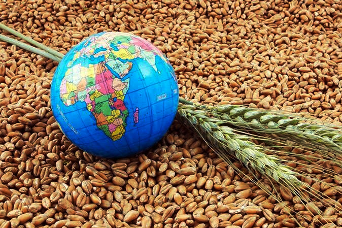 نقش آن در امنیت غذایی و توسعه پایدار