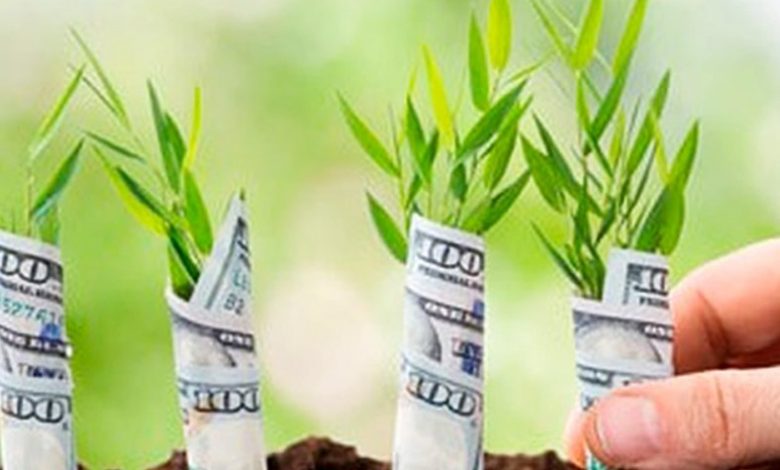 بازارهای نوظهور و جذابیت سرمایه گذاری