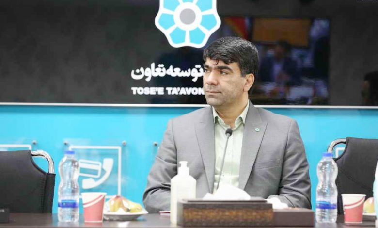 کنترل و نظارت صحیح عامل پیشبرد اهداف بانک توسعه تعاون محسوب می شوند
