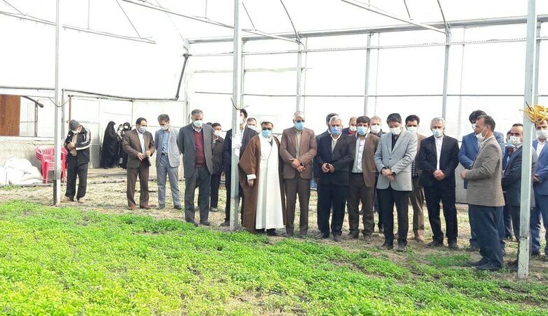 چرا شرط بندی حرام است؟
