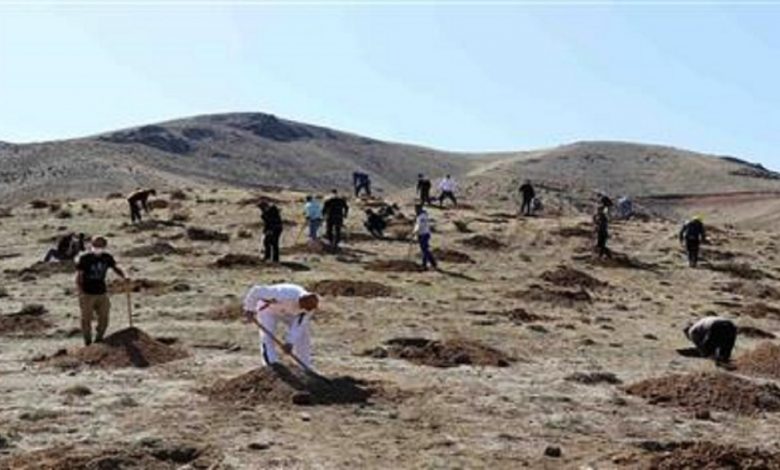 اشتغال زندانیان استان البرز در پروژه کمربند سبز کرج
