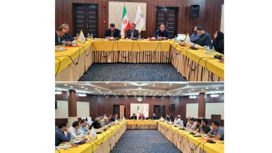 تاکید مدیرعامل سایپایدک بر ارتقای کیفیت خدمات و تقویت شبکه نمایندگی‌ها