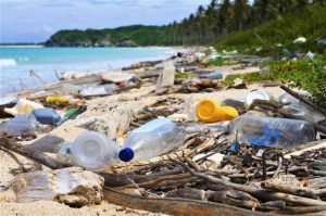 پلاستیک های یک بار مصرف و محیط زیست 
