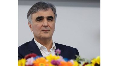 فرزین: تخصیص ارز ترجیحی به نهاده‌های دامی و کالاهای اساسی ادامه دارد