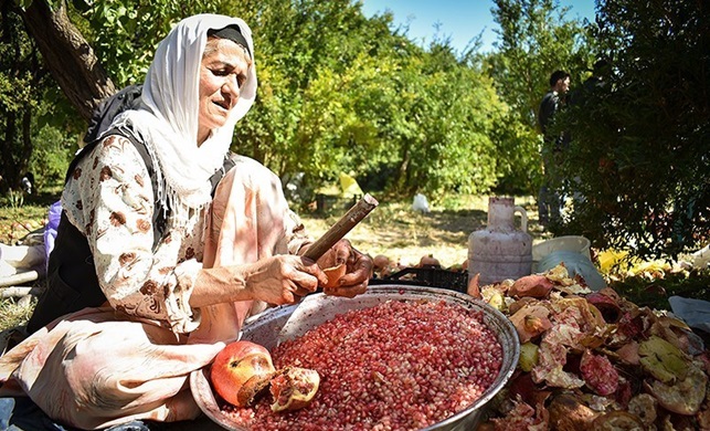 چالش‌های کارآفرینی روستایی