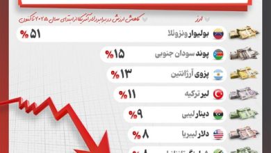 اینفوگرافیک/ کدام ارزها رکورددار سقوط در سال ۲۰۲۵ هستند؟