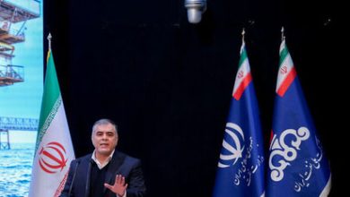خبر خوش وزیر نفت؛ کشف ذخایر جدید گاز و نفت در کشور