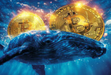 آخرین وضعیت بازار رمزارزها در جهان