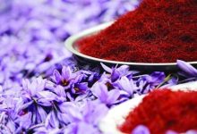 امارات اولین مشتری