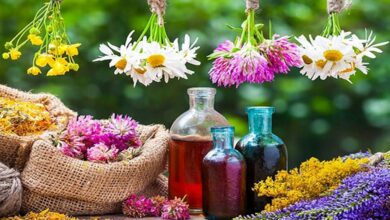 ایجاد اشتغال پایدار با کاشت گیاهان دارویی