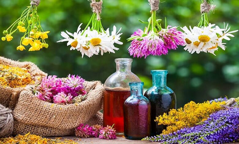 ایجاد اشتغال پایدار با کاشت گیاهان دارویی