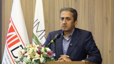 رئیس هیات عامل ایمیدرو: ایران و افغانستان مکمل یکدیگر در توسعه ظرفیت های معدنی هستند