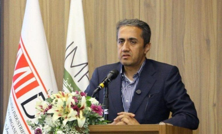 رئیس هیات عامل ایمیدرو: ایران و افغانستان مکمل یکدیگر در توسعه ظرفیت های معدنی هستند