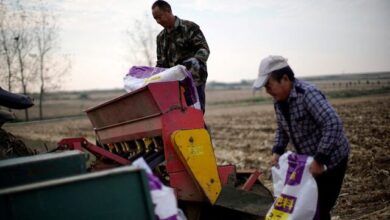 با افزایش قیمت کود پس از جنگ افروزی آمریکا و اسرائیل ؛ کشاورزی جهانی به خطر افتاد
