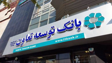افزایش سرمایه بانک‌های توسعه‌ای؛ پیش‌شرط عدالت و بهره‌وری در برنامه هفتم توسعه