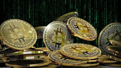 بیت‌کوین به جهش گربه مرده رسید؟