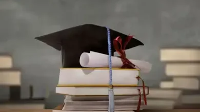 تحصیلات دانشگاهی یا مهارت‌آموزی؟
