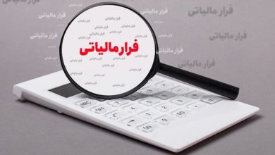 تحقق درآمدهای مالیاتی با تمرکز بر دانه‌درشت‌ها