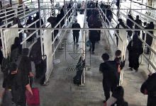 تردد زائران حسینی از مرزهای اربعینی کشور به مرز ۴.۵ میلیون نفر رسید