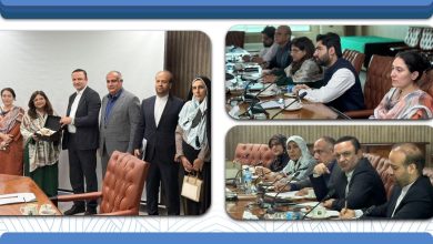 توافق ایران و پاکستان برای ایجاد منطقه آزاد مشترک در مرز ریمدان–گبد