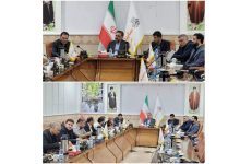 جبلی جوان: ارتقاء خدمات پس از فروش اولویت راهبردی شرکت سایپایدک است