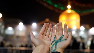 خاطره اى از علامه محمدرضا حكيمى در صلوات خاصه امام رضا (ع)