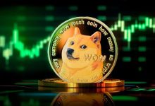 خالق دوج‌کوین: پیش‌بینی قیمت رمزارز‌ها غیرممکن است