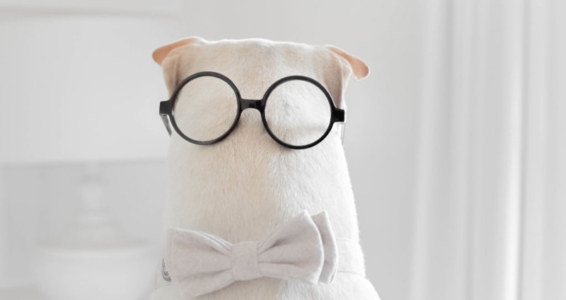 دانیگ- کروگر، یک اشتباه مهلک مدیریتی