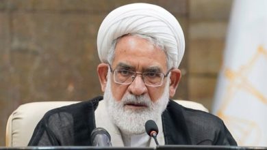 رئیس دیوان عالی کشور: نجات کشور در توجه به بخش تولید است