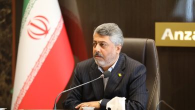 رشد ۱۰ درصدی صدور مجوز فعالیت اقتصادی در منطقه آزاد انزلی
