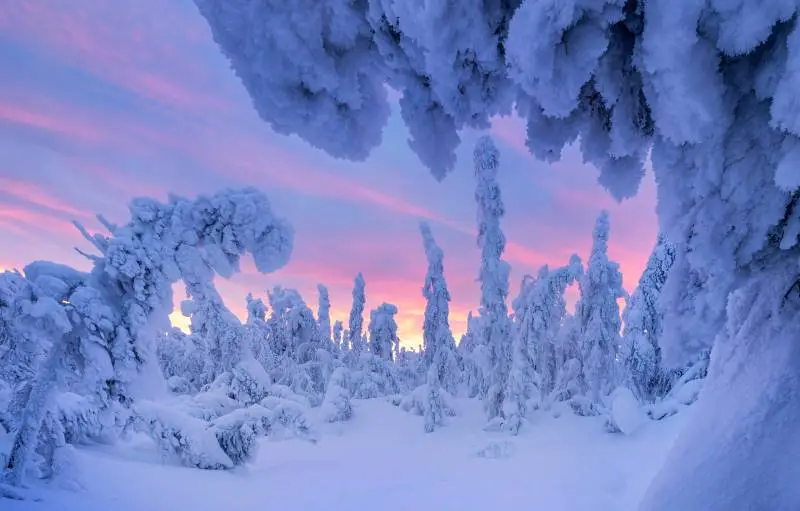 زمستان ؛ فصلی برای بازآفرینی