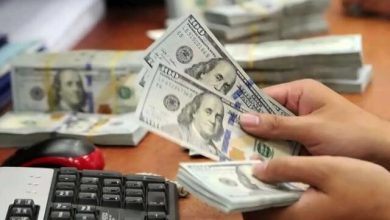 سخنگوی وزارت صمت پاسخ داد ؛ نوسان قیمت خودرو متاثر از چه بود؟