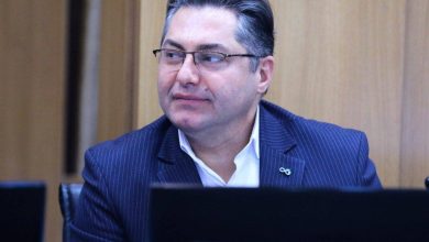 اقتصاد غیررسمی، بازار آینده بیمه‌گری