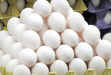 صادرات تخم‌مرغ با هدف حمایت از تولیدکنندگان انجام می‌شود
