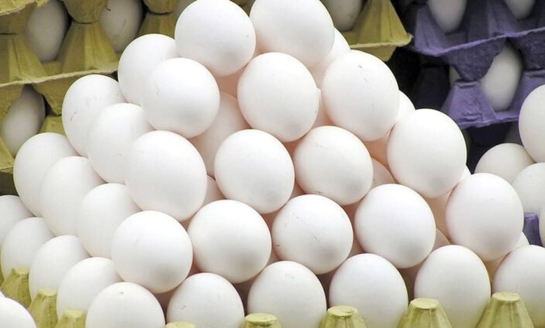 صادرات تخممرغ با هدف حمایت از تولیدکنندگان انجام میشود