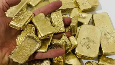 طلا ؛ شمشیر جادویی برای ثروتمند شدن نیست