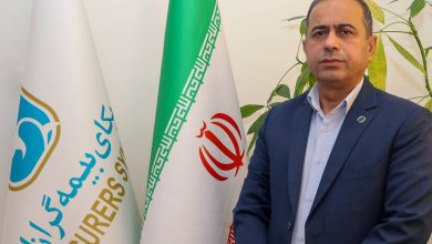 ضرورت تدوین مدل حکمرانی نوین برای صنعت بیمه