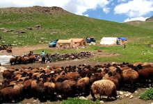 فرصت های فراموش شده عشایر در روستاها