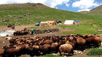 فرصت های فراموش شده عشایر در روستاها