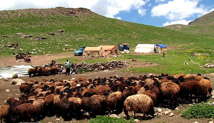 فرصت های فراموش شده عشایر در روستاها