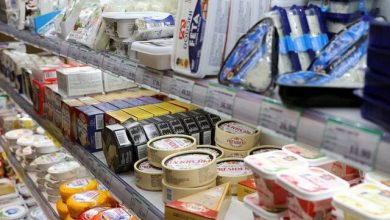 فائو: قیمت جهانی مواد غذایی بالاتر رفت