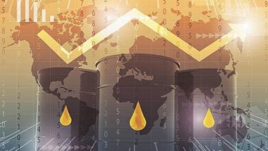 قیمت نفت در اوج ماند