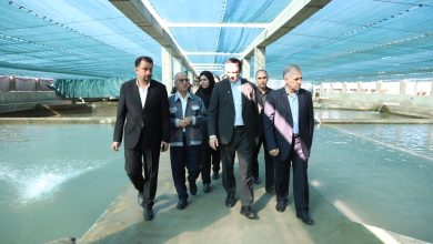 «مجتمع قره‌برون» در منطقه آزاد مازندران؛ نمونه‌ای موفق از زنجیره کامل تولید تا صادرات در بخش شیلات